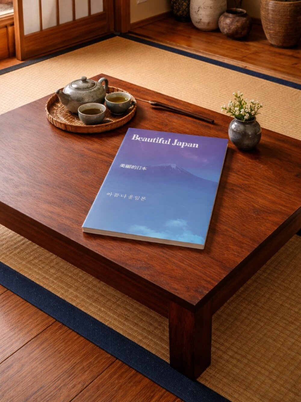 Beautiful Japan Mt Fuji Kyoto Temples Travel Photography Coffee Table Book 2000